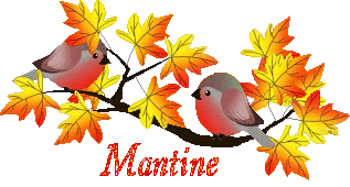 bird-23107