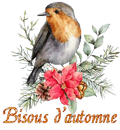 bird-22138