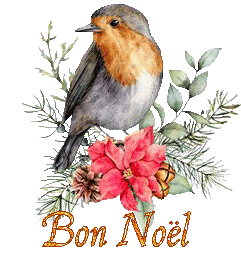 bird-22138