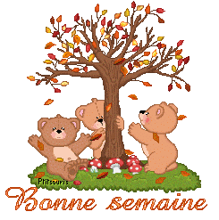 automne-1979