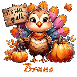 24102