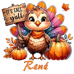 24102