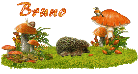 automne21107