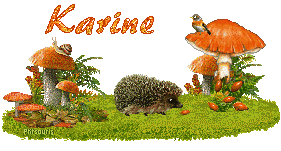 automne21107