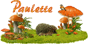 automne21107