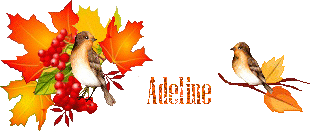automn-oiseau1