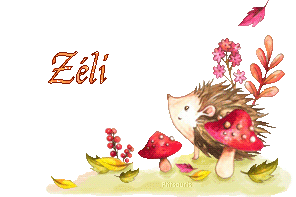 fall-21192