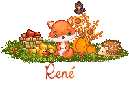 pixel-21105