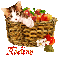 automne21109