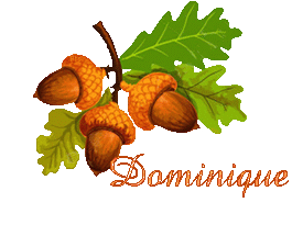 automne-23133