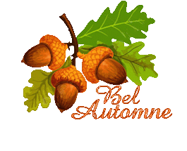 automne-23133
