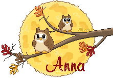 hibou-aut21098
