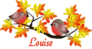 bird-23107