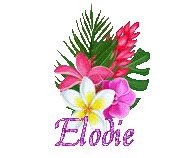 fl-2083