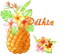 ananas2081