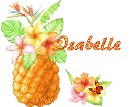 ananas2081
