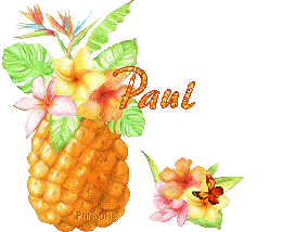 ananas2081