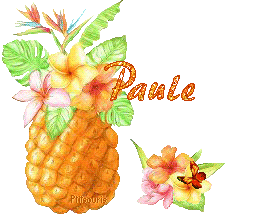 ananas2081