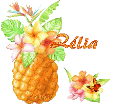 ananas2081