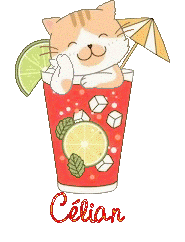 chat-grenadine23084