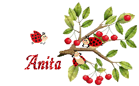 cerises2080