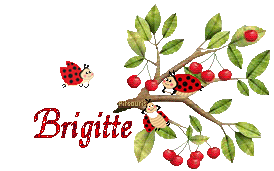 cerises2080