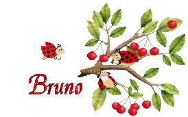 cerises2080