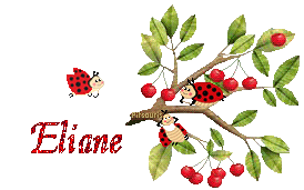 cerises2080