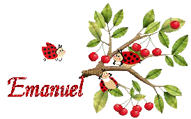cerises2080