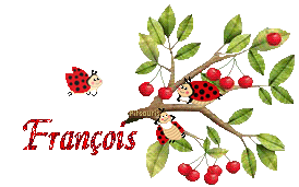 cerises2080
