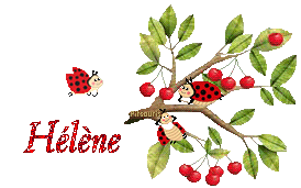 cerises2080