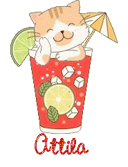 chat-grenadine23084