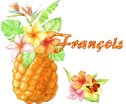 ananas2081