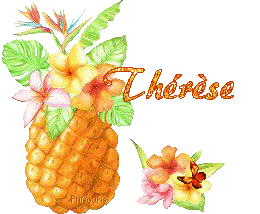 ananas2081