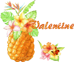 ananas2081