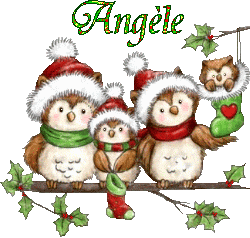 Hnoel-20147