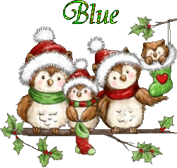 Hnoel-20147