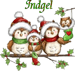 Hnoel-20147