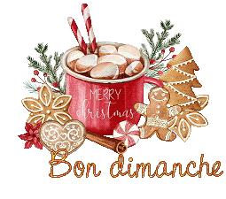 dej-noel-24120