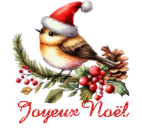 noel-24121