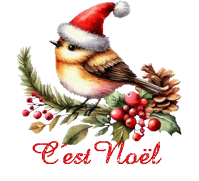 noel-24121