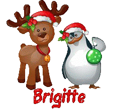 Hnoel-21221