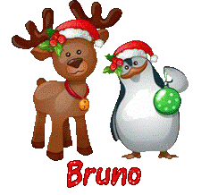 Hnoel-21221
