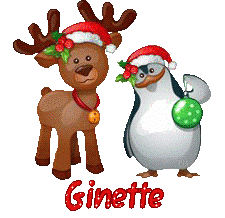 Hnoel-21221