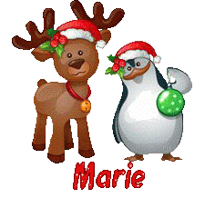 Hnoel-21221