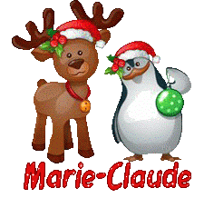 Hnoel-21221