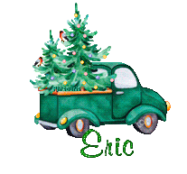 noel-20142
