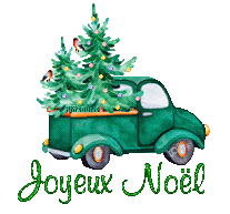 noel-20142