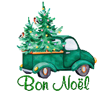 noel-20142