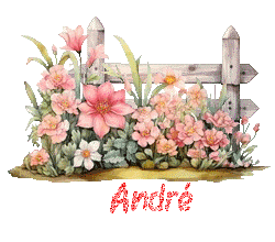 email 23097